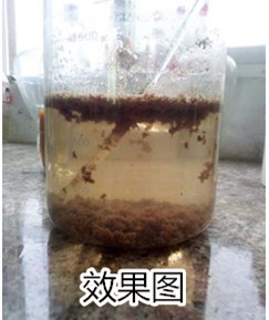 学沉淀法果图 学沉淀法果图