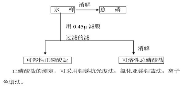 总磷、正磷和偏磷的关系