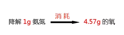 氨氮降解所需氧的比值_千赢国际环保