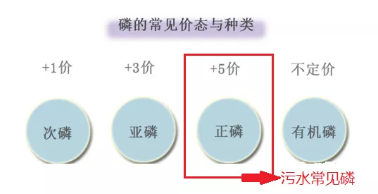 磷的价态_千赢国际环保